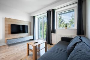 a living room with a couch and a tv at Visit sauna Klinovec in Loučná pod Klínovcem