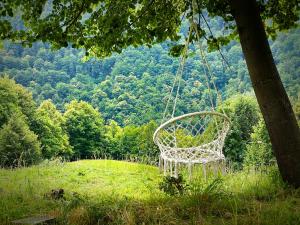 a swing hanging from a tree in a field at Stone Oven House in Rorá