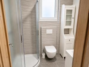 a small bathroom with a toilet and a shower at Apartment Beli in Radovljica