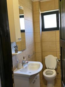 a bathroom with a toilet and a sink at Novia Apartment 22 in Đenovići