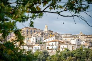 a group of buildings on a hill with trees at Lalym Donnanna Apartment in Rossano Stazione