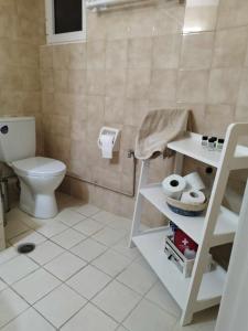 a bathroom with a toilet and a shelf with toilet paper at Cucuvaya Rithy in Áyios Andónios +24 photos