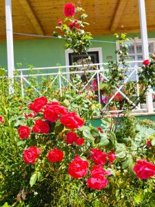 a bunch of red roses in front of a house at VILLA MEYSARY in Shamakhi +10 photos