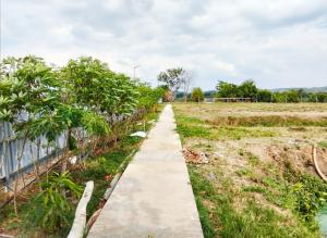 a path through a field with trees and a fence at Villa Cedes in Lasam