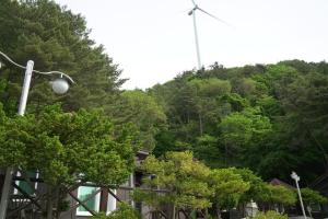 a street light and trees in front of a mountain at Yeongwol Jangsan Condo in Yeongwol