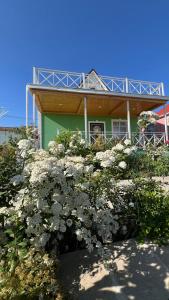 a green house with white flowers in front of it at VILLA MEYSARY in Shamakhi