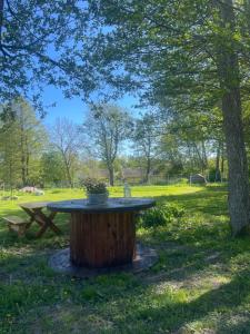 a picnic table in a park with a tree at Lahemaa Glamping in Viinistu