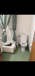 a bathroom with a toilet and a tub with a shower at Apartment MICKEY in Interlaken +7 photos