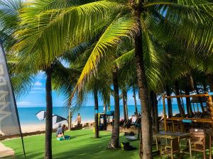 a group of palm trees next to the beach at Hosts BR - La Serena Suíte Cumbuco in Caucaia
