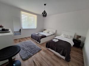 a bedroom with two beds and a table and a window at Noclegi Leśne Bagno in Zwierzyniec