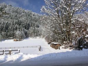 Fotografie z fotogalerie ubytování Gästehaus Struggl v destinaci Steindorf am Ossiacher See