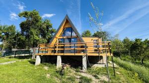 a tiny house with a roof on a field at Scenic A-Frame Cabin with Private Hot Tub & Mountain View - IezerVenture in Şelari