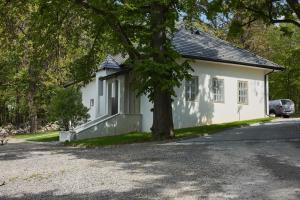 a white house with a tree in front of it at Tilia Kúria - Adults only in Bózsva