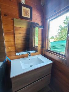 a bathroom with a sink and a mirror at Les Gîtes de Botte in Duras