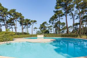 a swimming pool with trees in the background at La Canopée - Conciergerieland in Soustons