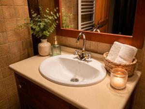 a bathroom counter with a sink and a mirror at La Senda del Norte in Cabezón de la Sal