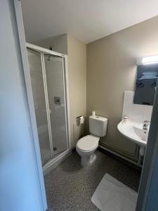 a bathroom with a toilet and a shower and a sink at Hôtel des Voyageurs in Changé