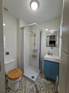 a bathroom with a shower and a toilet and a sink at Alcazaba Home in Almería +53 photos