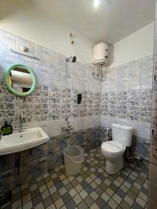 ein Badezimmer mit Toilette, Waschbecken und Spiegel in der Unterkunft silver bett in Lovedale + 42 Fotos