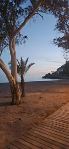 a tree on a sandy beach with the ocean at Marolesja in Puerto de Mazarrón