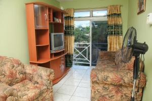 a living room with a couch and a tv at Angel's Apartment Jamaica in Kingston