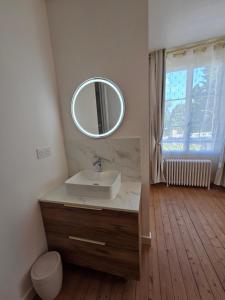 a bathroom with a sink and a mirror at La demeure de Chambord in La Ferté-Saint-Cyr +40 photos