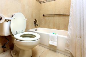 a bathroom with a toilet and a bath tub with a shower curtain at Budget Host Inn Florida City in Florida City