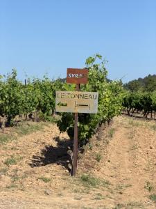 a sign in the middle of a field of grapes at Le Tonneau in Carcassonne +17 photos