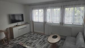 a living room with a couch and a tv and windows at Nad Hrází I in Lipno nad Vltavou