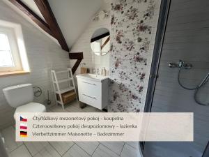 a bathroom with a shower and a toilet and a sink at Penzion Muštelka in Rokytnice nad Jizerou
