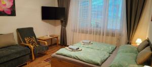 a living room with a couch and a chair at Privát Sisi in Hrabušice +5 photos