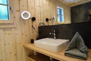 a bathroom with a sink and a mirror at Chalet Schwendiboden in Grindelwald +31 photos