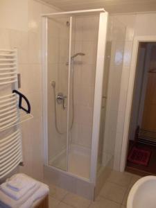 a shower with a glass door in a bathroom at Dinkelsbühl-Ferienappartement in Mönchsroth