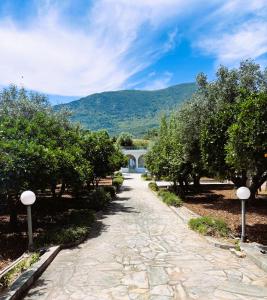 a path through an orchard with trees and a building at Casa Crystallia in Chalkida
