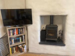 a living room with a stove and a tv at The Thatched Cottage in Cork