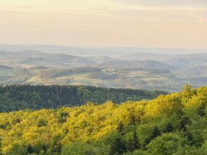 a view of a valley from a hill with trees at Hubertówka Dom in Ujanowice