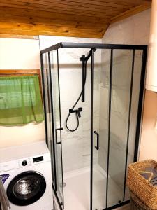 a shower in a bathroom with a washing machine at Apartma Dobnik in Mozirje +15 photos