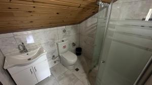 a bathroom with a toilet and a sink and a shower at Alya Teras Otel in Trabzon +44 photos