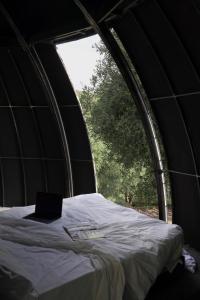 a bed in a tent with a laptop on it at Cosmo Camp in Montepescali