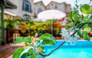 a tree with white flowers and an umbrella at Taean like the first time pension in Taean