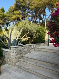 a stone retaining wall with stairs and plants at Villa Mila in Splitska