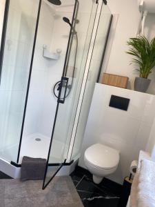 a bathroom with a shower and a toilet at Przy Jeziorze in Złotów +3 photos