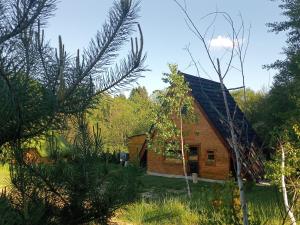 a wooden cabin in the middle of a forest at Maria - Brebu Nou in Brebu Nou