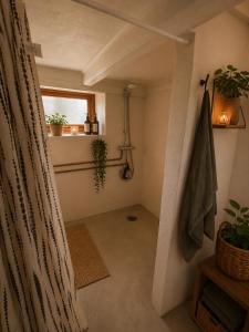 a bathroom with a shower curtain and a window at Kysthus Villa Nexø in Neksø