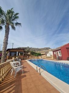 a swimming pool with two chairs and a palm tree at Casita Casa la Rambla in La Romana