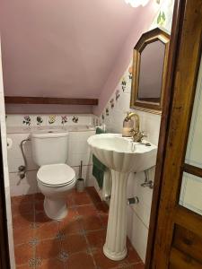 a bathroom with a toilet and a sink at La Salera - Casa Rural in Saelices de la Sal