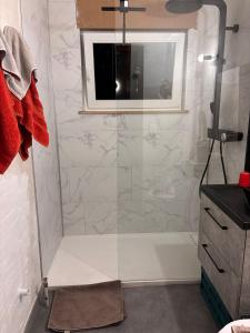 a bathroom with a shower with a glass door at Le Petit Refuge de Malmedy in Malmedy