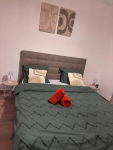 a green bed with two red pillows on it at Le Petit Refuge de Malmedy in Malmedy