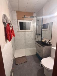 a bathroom with a shower with a toilet and a sink at Le Petit Refuge de Malmedy in Malmedy