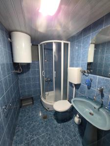 a bathroom with a shower and a toilet and a sink at Apartmani Dado in Sutomore +33 photos